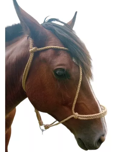 Buçal de Corda para cavalos