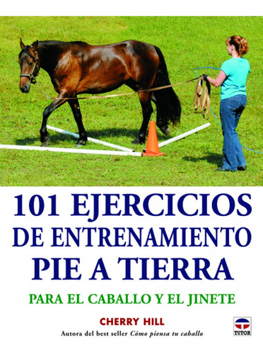 Libro 101 Ejercicios De Entrenamiento Pie A Tierra