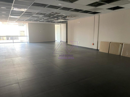 Oficina En Renta En Anzures De 297 M2 Lv728
