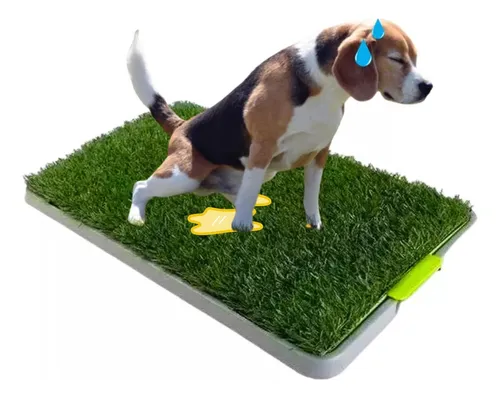 Baño Ecológico Sanitario Mascotas Talla M