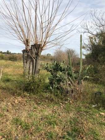 Imagen 3 de 6 de Lote De 20 X 28 Con Escritura En Lezica Y Torrezuri