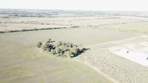 Imagen 3 de 11 de Terreno - Zarate