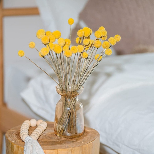 * 40 Unidades De Flores Secas De Craspedia, Bolas De Billy