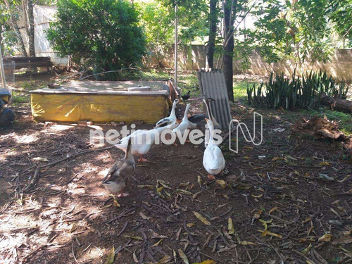 Imagem 25 de 27 de Venda Chácara Ypiranga Valparaíso De Goiás - 839116