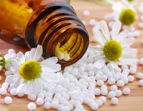 Comprar Homeopatía Guía Completa