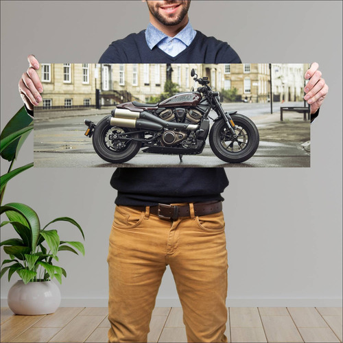 Cuadro 30x80cm Moto Harley Davidson Sportster 3