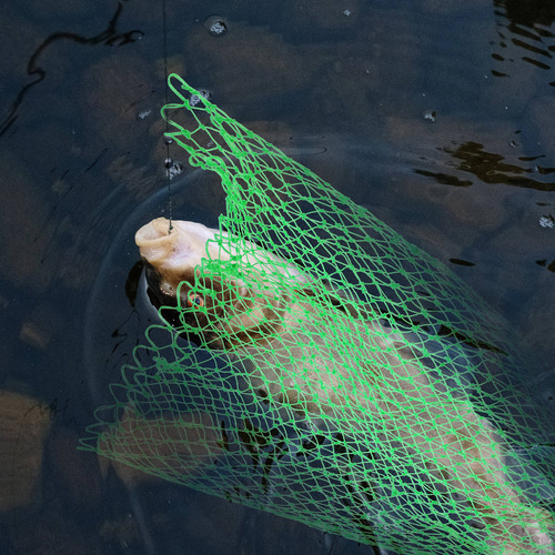 Red De Pesca Plegable, Red De Inmersión, Pecera