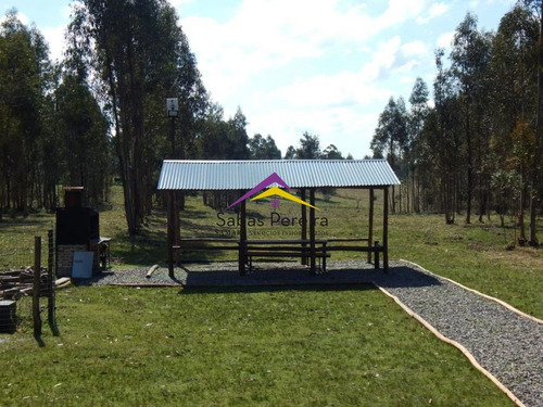 Imagen 22 de 24 de Chacra En Venta 15ha, Ruta 12 Lavalleja