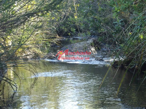 Campo 96 Has En Carape Cuenta Con Costa De Arroyo.