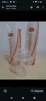 Comprar Desechables Vasos Domo 9 Onzas Con Tapa Transparente