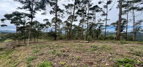Lote En Venta Ubicado En El Retiro Sector Don Diego (26671).