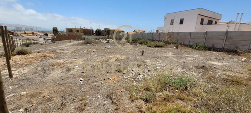 Imagen 5 de 11 de Se Vende Terreno En El Rosario De Peñuelas