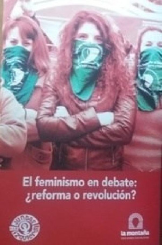 Libro - Feminismo En Debate Reforma O Revolucion - Fierro C