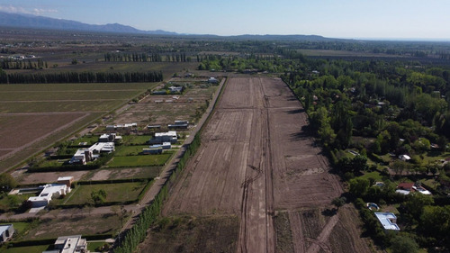 Venta Lotes Barrio Verona Vistalba Lujan De Cuyo