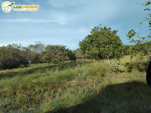 Imagem 1 de 15 de Fazenda À Venda Em Santa Maria Das Barreiras - Pa - 977,58 Hec. (d.aptidão) - 2278