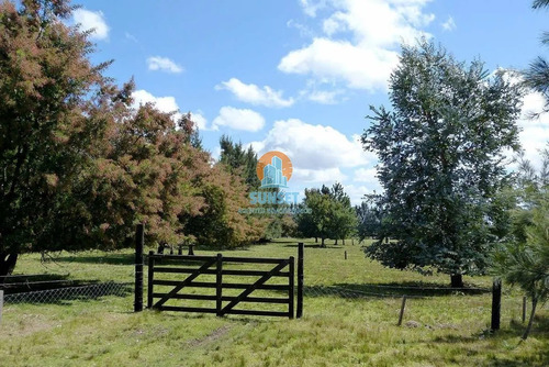 Maldonado Chacras En Venta De 5, 6 Y 7 Hectareas - Ref: 302