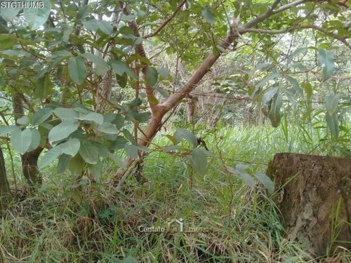 Imagem 7 de 13 de Terreno Para Investidor À Venda - 3.716,00m2 - Te0205-1