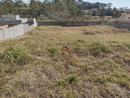 Imagem 3 de 3 de Terreno - Te00074 - 70005520
