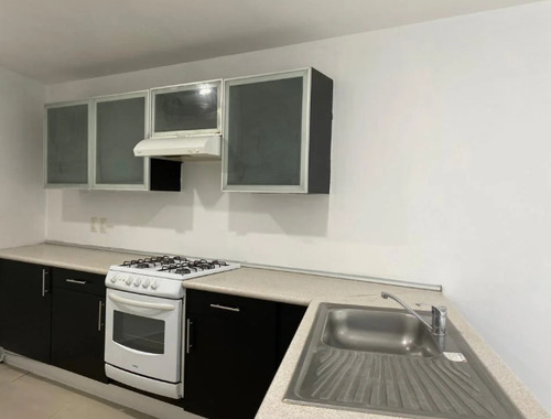 Departamento Renta Del Valle Centro Mg31