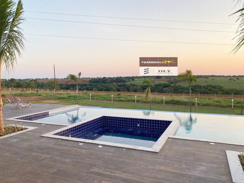 Imagem 11 de 14 de Oportunidade ! Rancho De Luxo Município De Bela Vista ! Porteira Fechada ! - 403