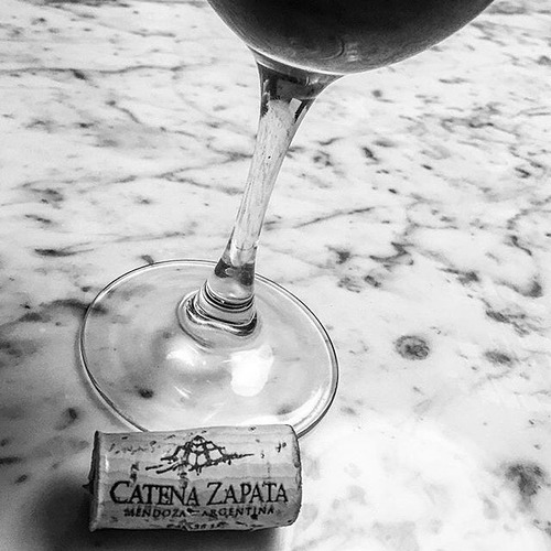Imagen 3 de 10 de Vino Dv Catena Adrianna Vineyard Malbec 750ml.