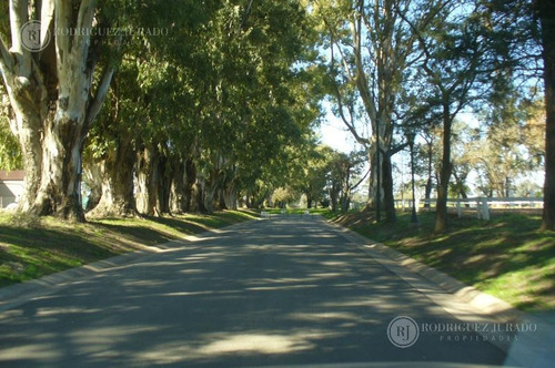 Imagen 6 de 14 de Lote Al Golf De 992m2 Con Orientación Noroeste - Haras Santa Maria