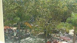 Imagen 4 de 12 de Plaza Matriz