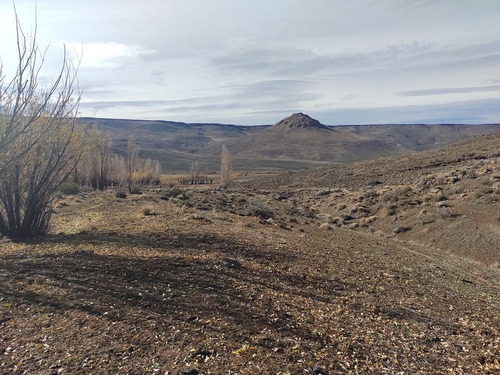 Imagen 10 de 14 de Campo En Venta - Espinazo Del Zorro - Aluminé