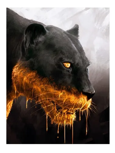 Pantera o puma cheap