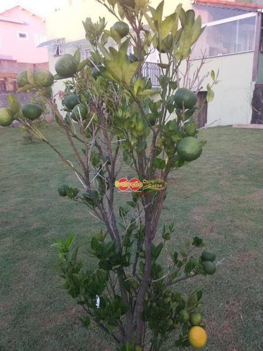 Imagem 2 de 30 de Casa - Giardino D Itália - Ca4318