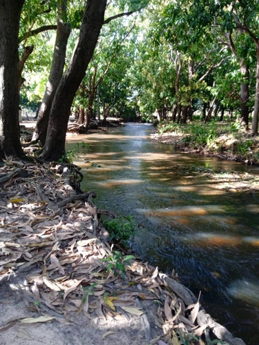 Imagen 1 de 11 de Venta De Espectacular Hato En Calabozo Estado Guárico