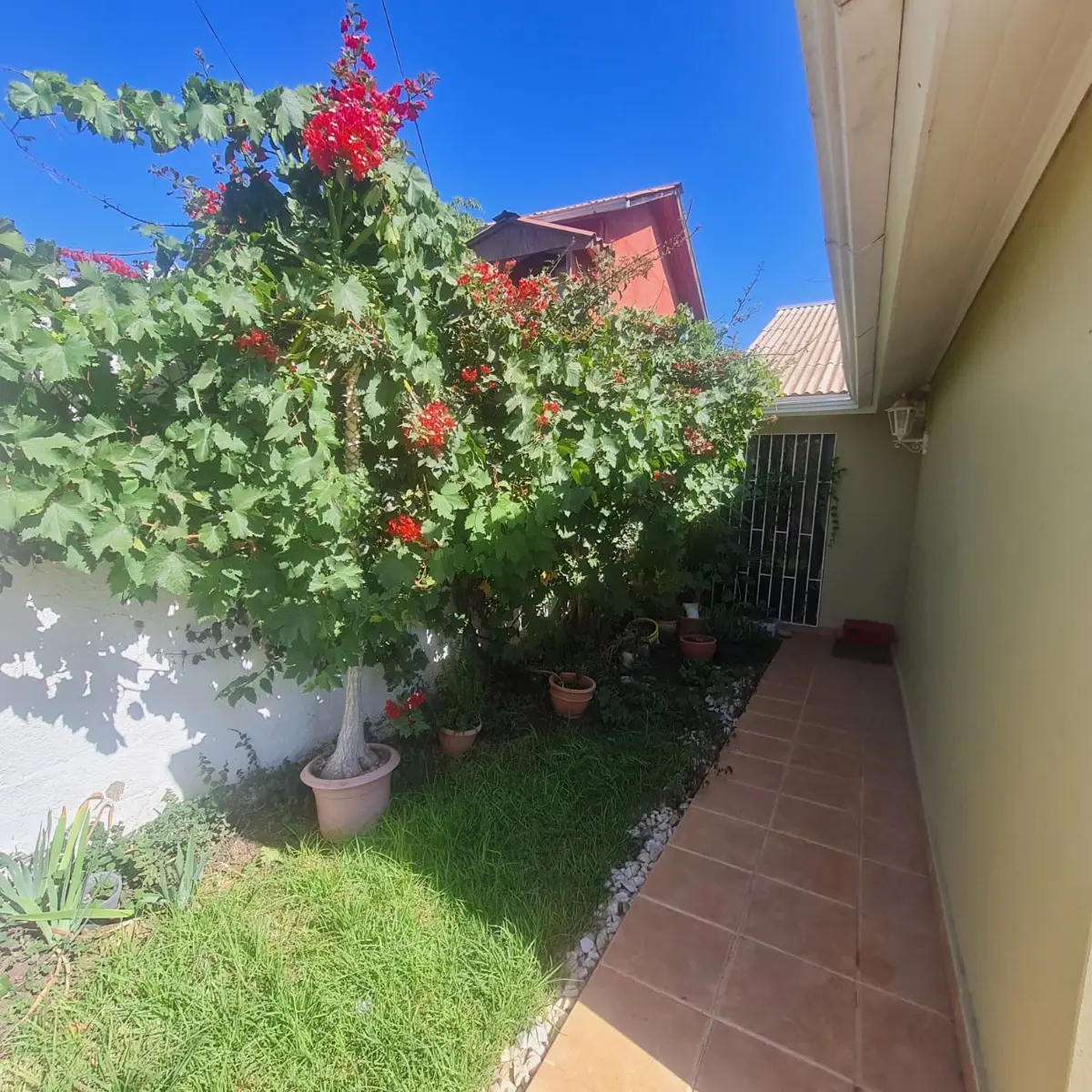Imagen 3 de 21 de Vendo Hermosa Y Amplia Casa En Villa Alborada En Ovalle