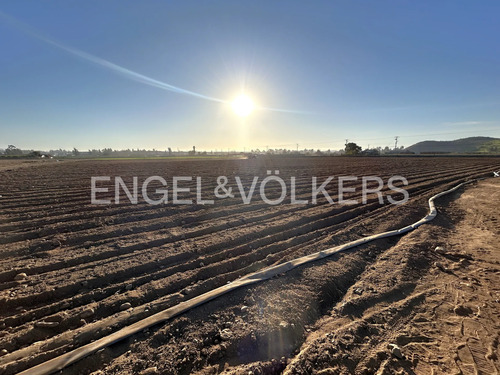 Terreno San Ramon