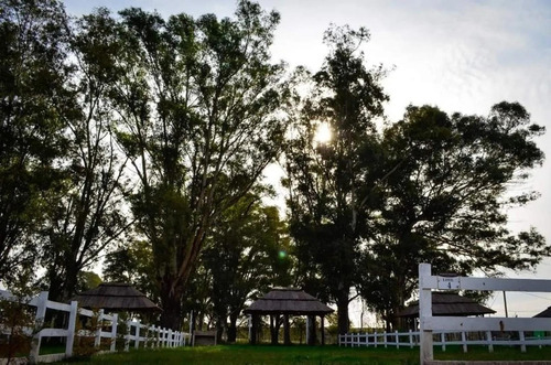 Imagen 30 de 30 de Lote En Venta En Haras El Terraplen