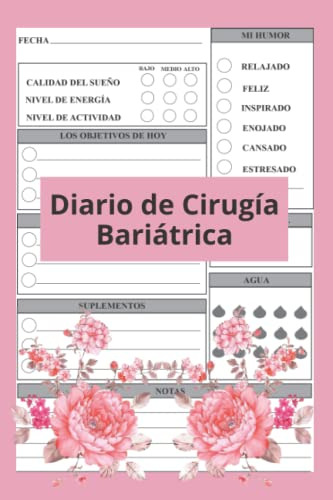 Diario De Cirugia Bariatrica: Registro De Cirugia Gastrica D