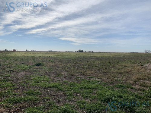 Excelente Campo Agricola De 62,73 Has.
