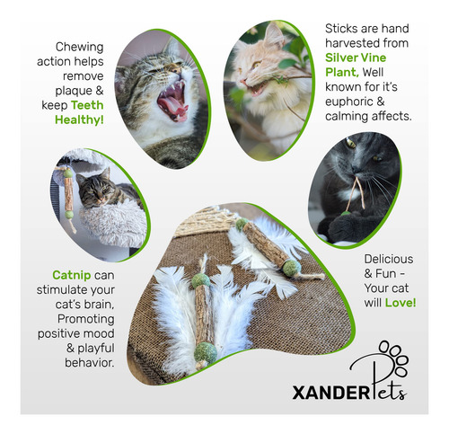 Palo Masticable P/gato Xanderpets Matatabi