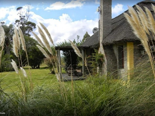 Quinta En Venta De 5 Dormitorios En Jose Ignacio