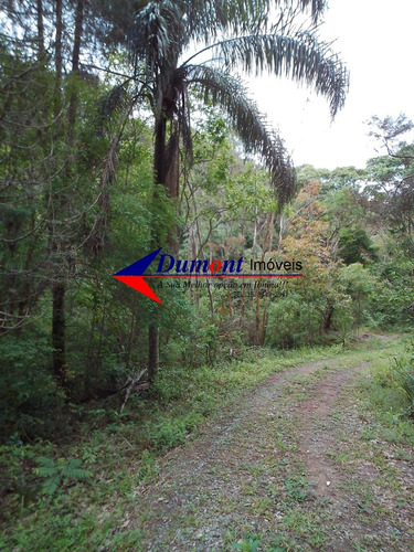 Imagem 3 de 14 de Sitio De 120000m² A 10 Minutos De São Roque.cód 526.