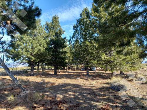Venta De Estancia En Ruta Provincial 21, Kilómetro 31, Departamento Picunches, Paraje Huarenchenque