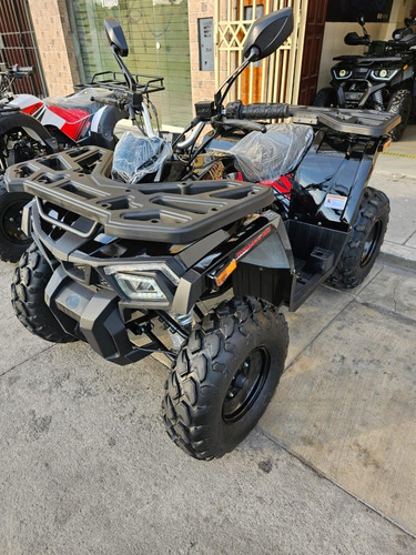 Imagen 10 de 19 de Cuatrimoto Dynamic 150 Automaticas Superfull 0 Klm 2023