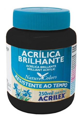 Tinta Acrílica Brilhante 250ml Preto 520 Acrilex