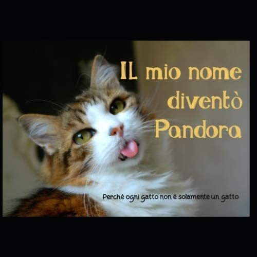Libro: Il Mio Nome Diventò Pandora: Perchè Ogni Gatto Non È