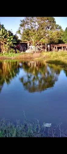Vendo Sítio Com 52,5 Mil Mts2 Em Igarassu, 100% Plano.