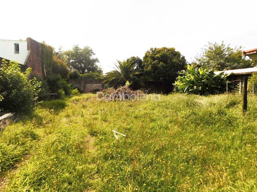 Imagen 7 de 8 de Terreno Lote En Venta Ubicado En Moreno, G.b.a. Zona Oeste