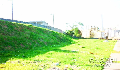 Imagem 2 de 8 de Terreno Residencial À Venda, Cooperativa, São Bernardo Do Campo - Te3720. - Te3720