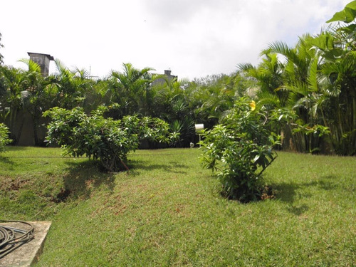 Apartamento Residencial À Venda, Vila Prudente, São Paulo. - Ap0318