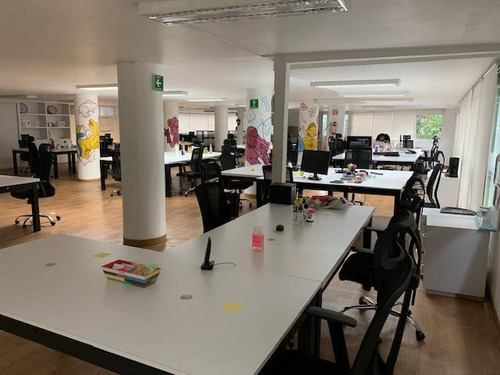 Imagen 9 de 14 de Polanco Vendo Oficina Masaryk De 600m2, Vigilancia, Acondici
