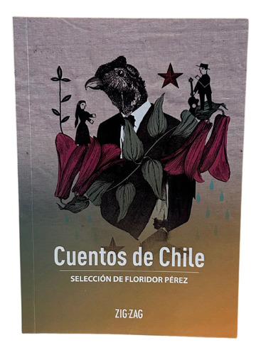 Cuentos De Chile / Selección De Floridor Pérez