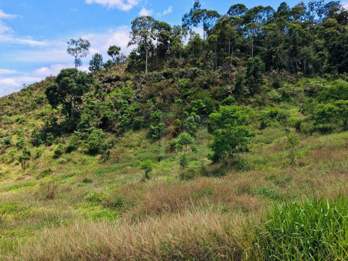 Imagem 3 de 9 de Terreno À Venda, 2474 M² Por R$ 180.000,00 - Vieira - Teresópolis/rj - Te0243